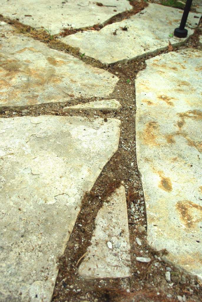 It's Not Work, It's Gardening! Filling flagstone patio cracks